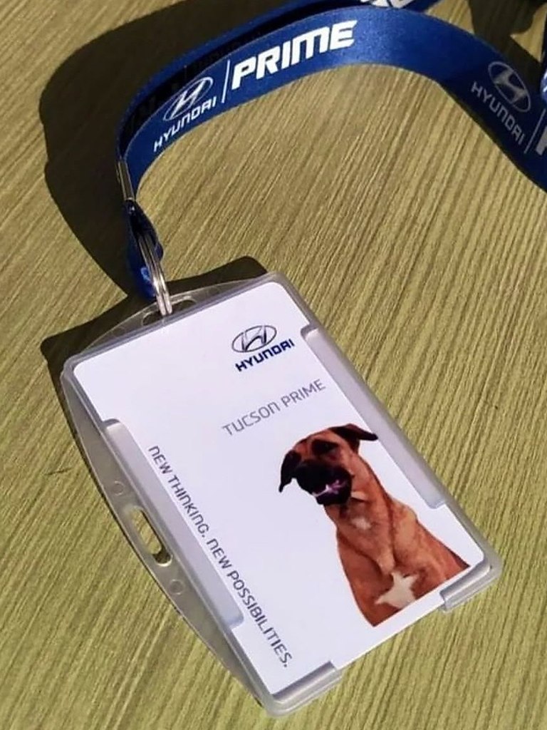  ,   ,  Hyundai   ,     ... - 5