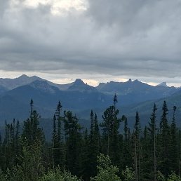 ���� �����, ����������, 40 ��� - ��������� 27 ���� 2025