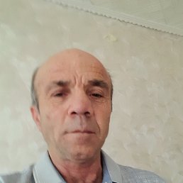 , 61, 