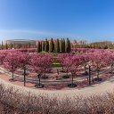 ���� ...R��@sh���..., ����� - ��������� 5 ������� 2026 � ������ ���� ����� ��������