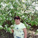 ���� �����, ���, 65 ��� - ��������� 2 ������� 2026 � ������ ���� ����������