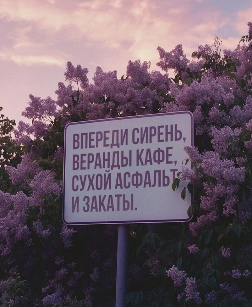    - 2  2025  03:13