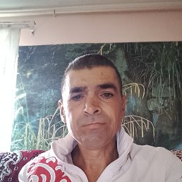 , 44, 