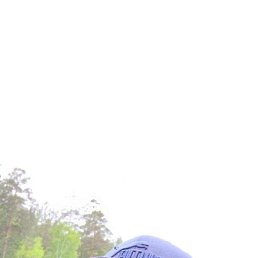 , 41, 