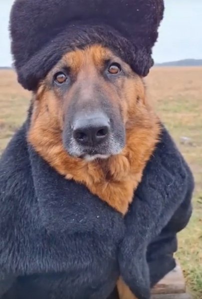Небольшой тест на возраст.Если узнали из какого сериала эти актеры, то тебе минимум 30 лет. ... - 2