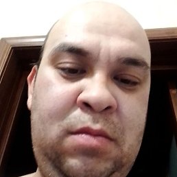 �����, ������, 37 ���