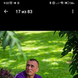 , 41, 