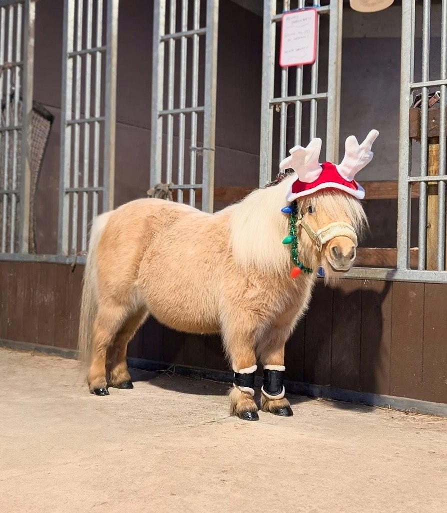 ������ - ��� ��� ���! - 28 ������� 2025 � 15:43