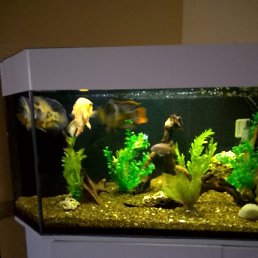 ���� Evgen, �����, 51 ��� - ��������� 20 ������ 2024