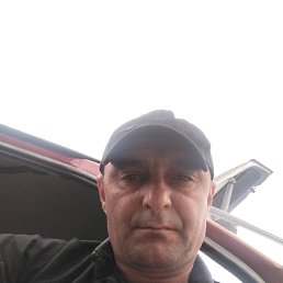 , 34, 