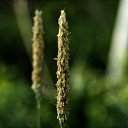 ���� �����, ������, 31 ��� - ��������� 30 ��� 2024 � ������ ���� ����������