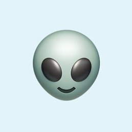 �������, �������, 24 ����