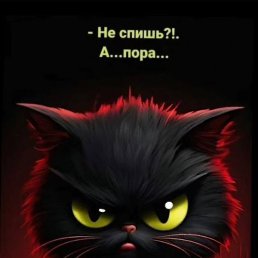 ����, �����-���������, 52 ����