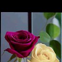���� Reyhan, ����, 40 ��� - ��������� 21 ������ 2024 � ������ ���� ����������