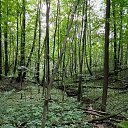 ���� Oleg, ������ - ��������� 10 ������ 2026 � ������ �Environs�