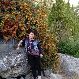 ���� �������, ���������, 73 ���� - ��������� 10 ������ 2024