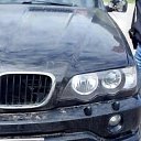 ���� ������, ������, 43 ���� - ��������� 10 ������� 2023 � ������ ���� ����������