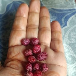 M, ����, 34 ����