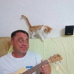 , 55 , 