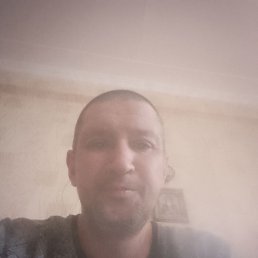  , 43 , 