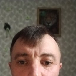  , 37, 
