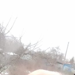 �������, ��������, 50 ���