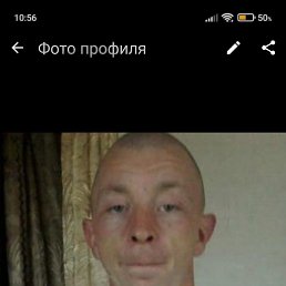 �����, 40 ���, �����