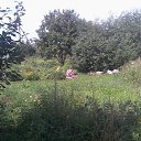 ���� ���������, �������� - ��������� 22 ������� 2025 � ������ �����