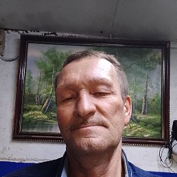 , 54, 