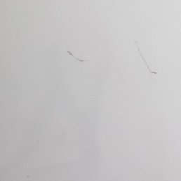 �����, ���������, 29 ���