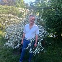 ���� �����, ��������, 66 ��� - ��������� 19 ���� 2025 � ������ ���� ����������