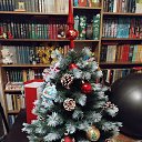 ���� �����, �����-���������, 63 ���� - ��������� 27 ������� 2024 � ������ ���� ����������