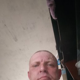 , 42, 