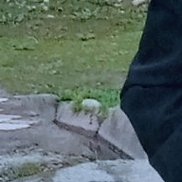 �����, 27 ���, �����-���������