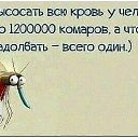 ���� �������, �����-���������, 65 ��� - ��������� 12 ������� 2025 � ������ ������ ��������