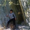 ���� ������, �������, 67 ��� - ��������� 28 ������ 2025 � ������ ���� ����������