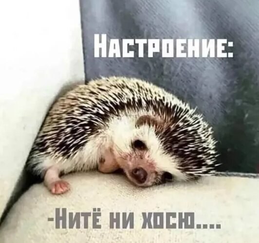   ! - 27  2025  10:36
