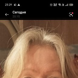 ���� �����, �����-���������, 47 ��� - ��������� 20 ���� 2026