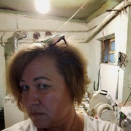 �����, ���������, 51 ���