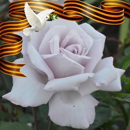 Anna, ���, 38 ���