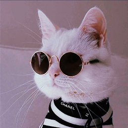 ����, ��������, 27 ���