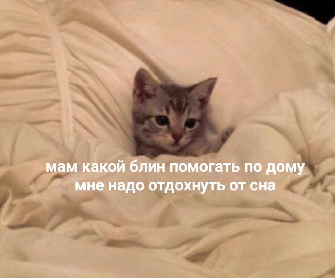    - 29  2023  06:39