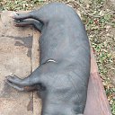 ���� � � �, ������, 41 ��� - ��������� 26 ������ 2025