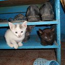 ���� �������, ����������, 67 ��� - ��������� 5 ������� 2025 � ������ ������ ��������