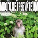 ���� ��������, �������, 23 ���� - ��������� 18 ����� 2026 � ������ ���� ����������