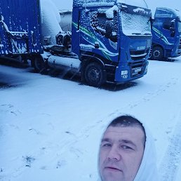 ����, ������, 36 ���