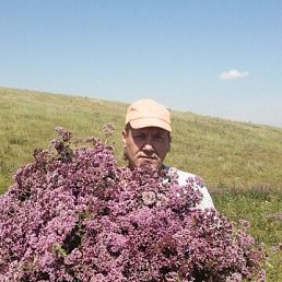 ���� �����, ��������, 61 ��� - ��������� 8 ����� 2026