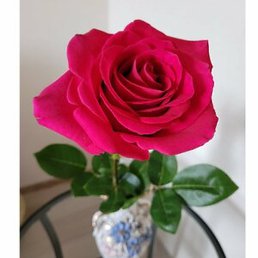 ��������, �����, 53 ����