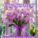 ���� �������, ���������� - ��������� 21 ����� 2026 � ������ ������ ��������