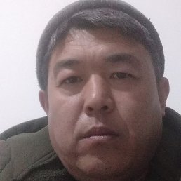 �����, ���������, 46 ���